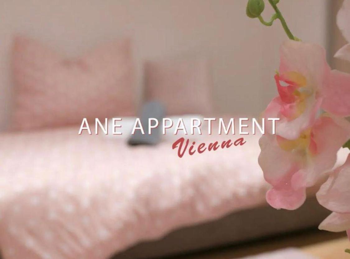 Ane Apartment เวียนนา ภายนอก รูปภาพ